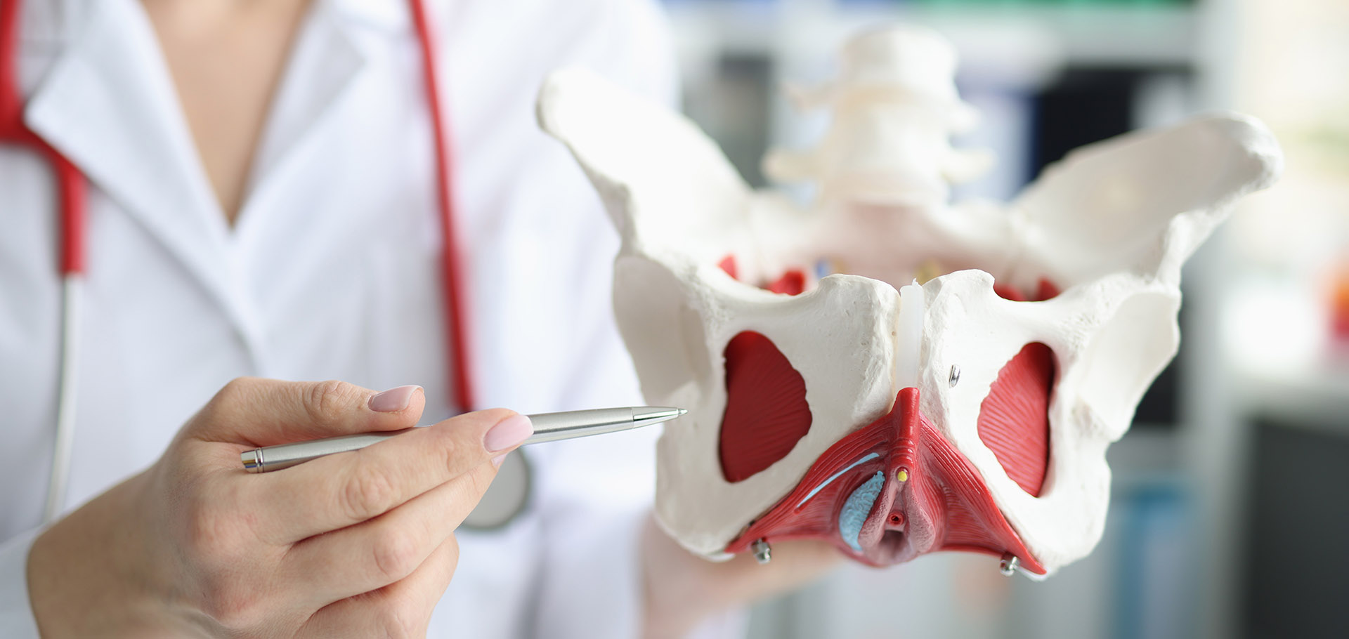 Bauer Pour Femme Ng Jill Protecteur De Plancher Pelvien